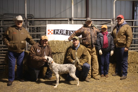 C S Pressure Test with Purina Rep Roy Pelton, handler Doug Ray, scout Stacy Perkins, and judges and reporter, Gordon Hazlewood, Peggy Herriage and Jerry Hailey